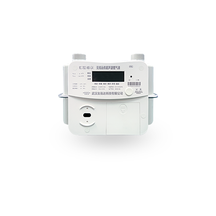 Ultrasonic gas meter003